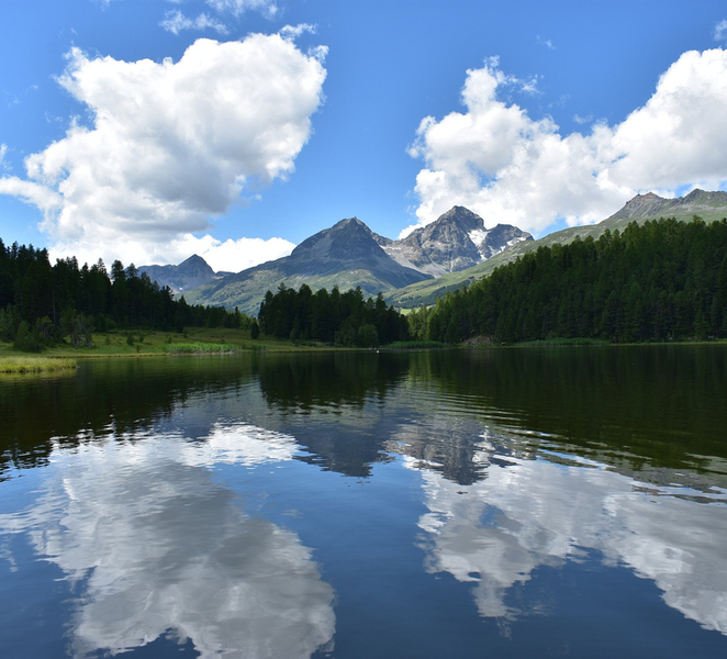 St. Moritz: Private Guided Town Highlights Walking Tour 5MGTxOVV