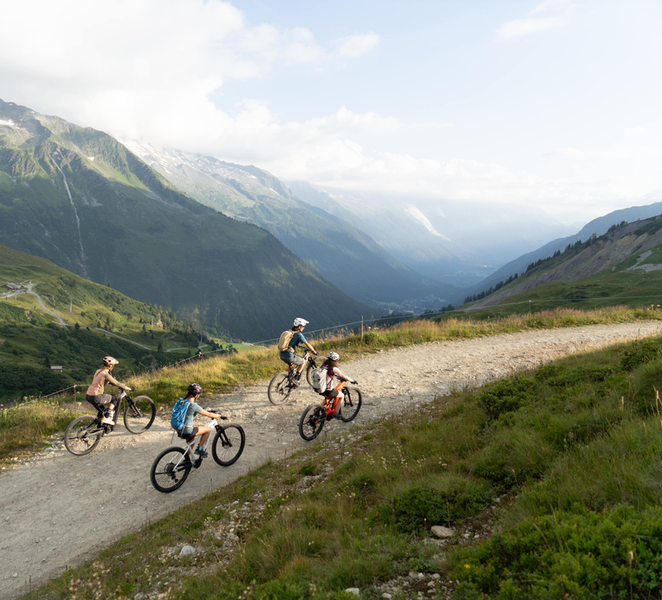 Chamonix: Guided eMTB Tour to Alpine Pastures & Views l8NBQQDq