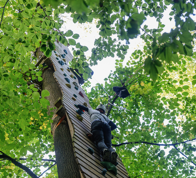 Küssnacht: Ropes Park Rigi Climbing Adventure with Entry Ticket m5b7vVpA