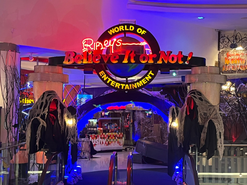 Ripley's Believe It or Not! Pattaya i9pXaHfj