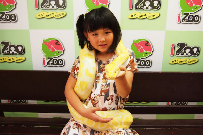 iZoo Sensory Zoo Ticket jDaicZrf