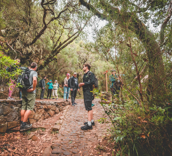 Madeira: Rabaçal Valley and the 25 Fountains Hike hRNy1XpN
