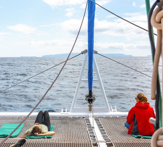 From Funchal: Madeira Dolphin and Whale Watching Tour by VMT NH9NdcyB