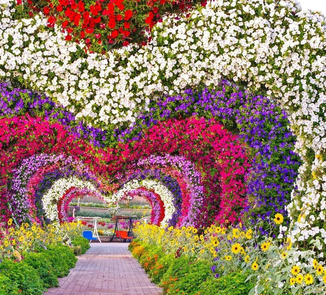 Dubai: Miracle Garden & Global Village with Transfers RhIKc0PK