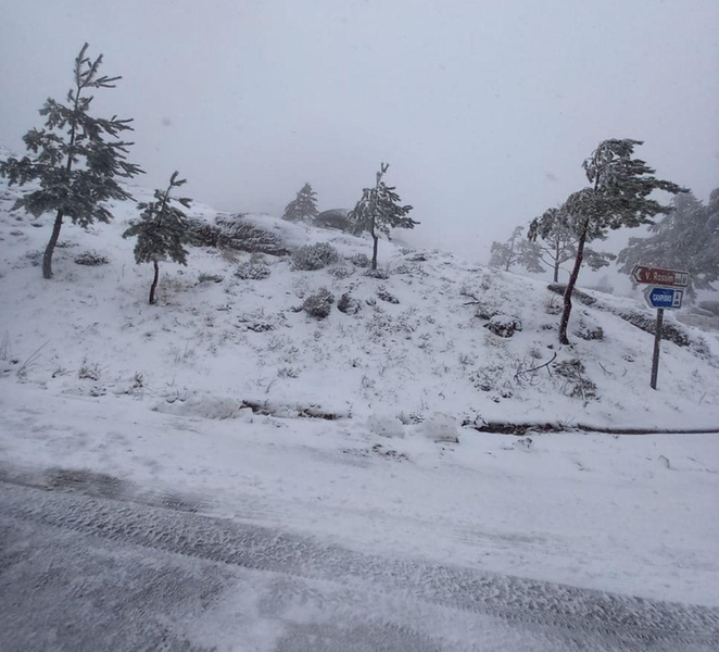From Coimbra: Serra da Estrela Day Tour Nb82Ghrz