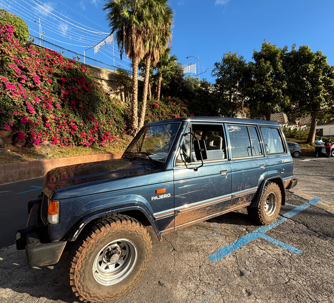 Private Vineyards & Wine Culture 4x4 Expedition in Madeira YyKJKLIR