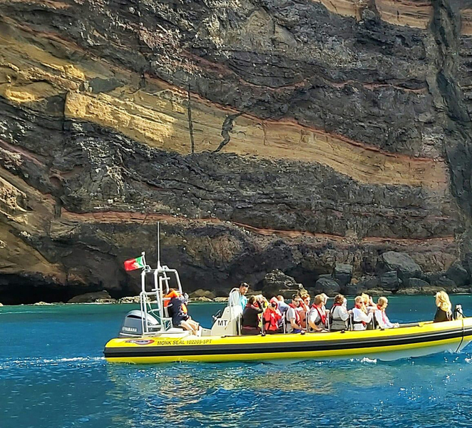 Madeira: Whale and Dolphin Watching Tour Oh3dI7SD
