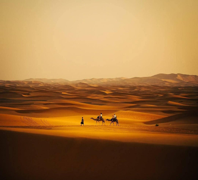From Marrakech: 3-Day Sahara Desert Tour with Meals & Camp jHVft6oY