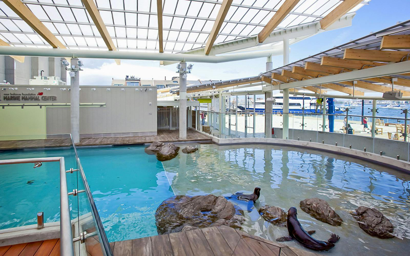 New England Aquarium Tickets PWD7YEzx