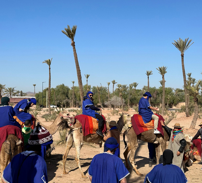 Camel Trek Adventure in the Marrakech Palm Grove 2Z3NcuoR