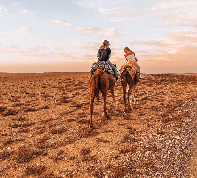 Marrakech: Agafay Desert Escape with Quad or Camel Ride CzlXzYR7