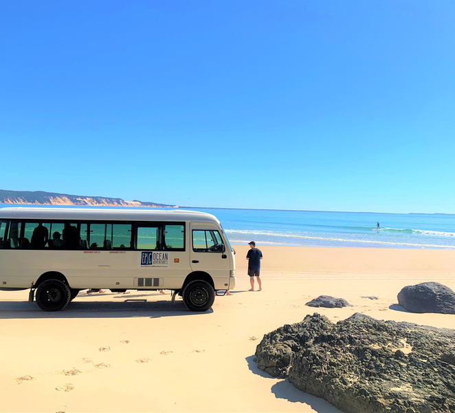 Noosa: Dolphin Sea Kayak & Beach 4X4 Tour (in National Park) ixztFuS3