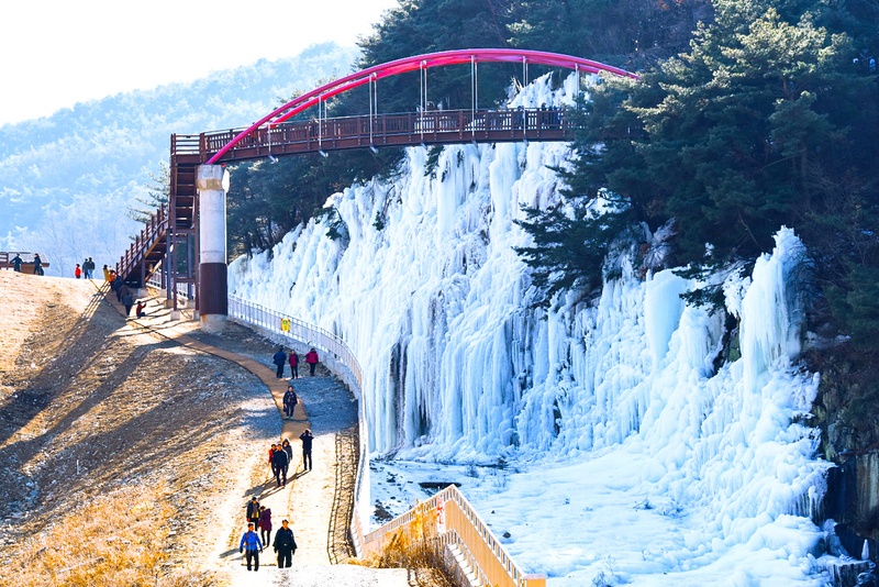 Gyeongju Kookmin Healing Park, Daegu Seomun Market, Songhae Park Ice Wall Full-Day Tour from Busan iJxqeAPg