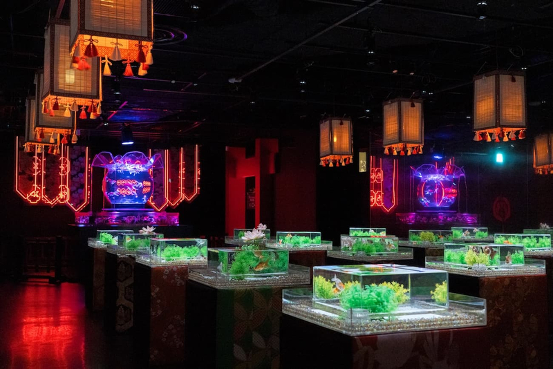 Art Aquarium Museum GINZA Ticket PoFUCZM8
