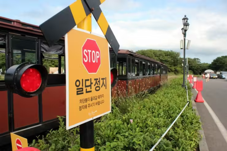 [Jeju] Ecoland Theme Park Orgv6O27