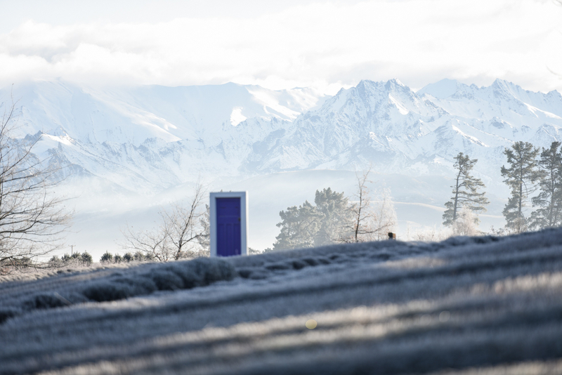 Wanaka Lavender Farm Ticket 7AQGpsQA