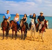 Horse Riding Adventure in Hurghada 1Yw8AJal
