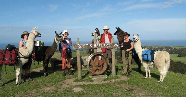 Half-Day Coastal Llama Trek from Kaikoura 4r5NFuAR