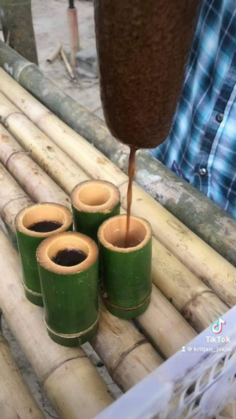 Bamboo Rafting, Turtle Conservation, Coffee making & Monkey Cave 668aXNxQ