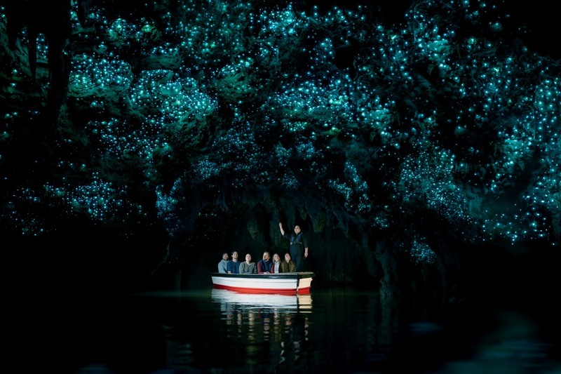 Waitomo Caves & Te Puia Rotorua Small Group Day Tour 7MYcxEqE