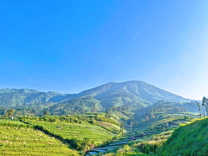 Others 2, 1440 MDPL Villa & Resort, Wonosobo