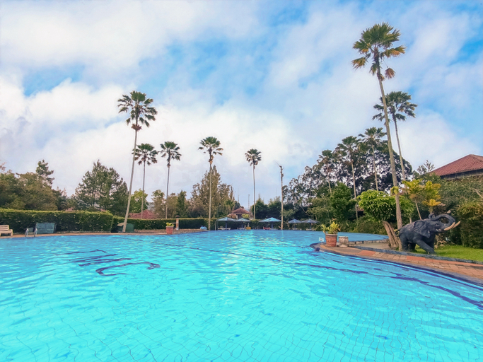 Swimming Pool 4, The Cartoon House by Kava Stay, Cianjur