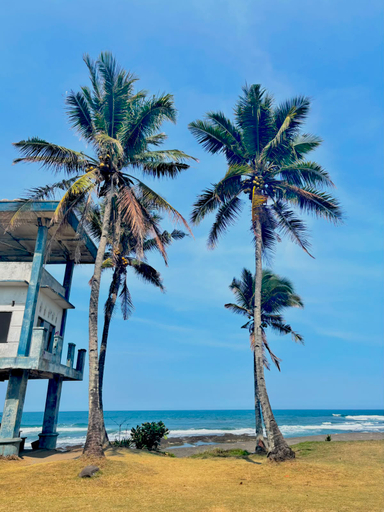 Other View & Surrounding 5, Cadas Homestay Madasari, Pangandaran