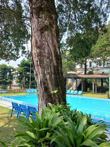 Others 5, HOTEL BUKIT INDAH PUNCAK, Bogor
