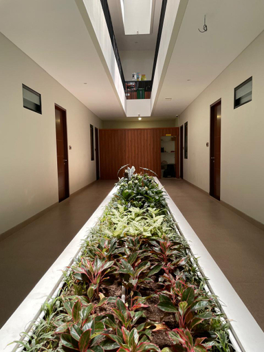 Others 5, Soluna Living