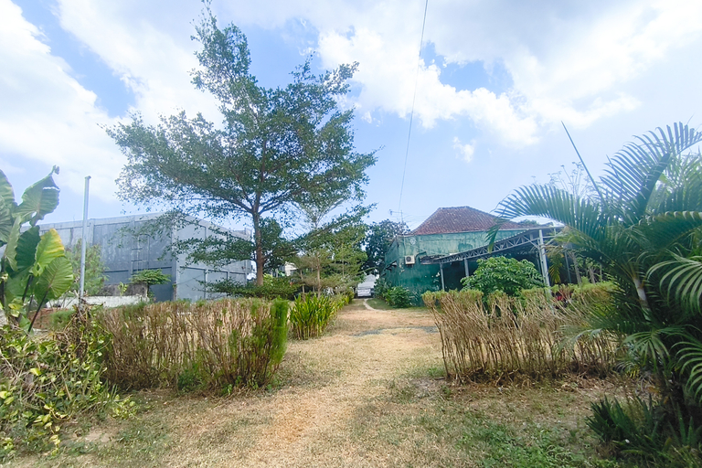 Others 3, Siama Garden II Raya Senggigi RedPartner, Lombok