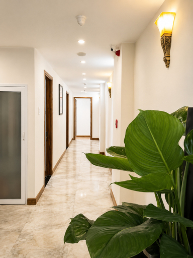 Hallway 5, Quy Nhon Center Hotel - 08 Tran Doc, Qui Nhơn