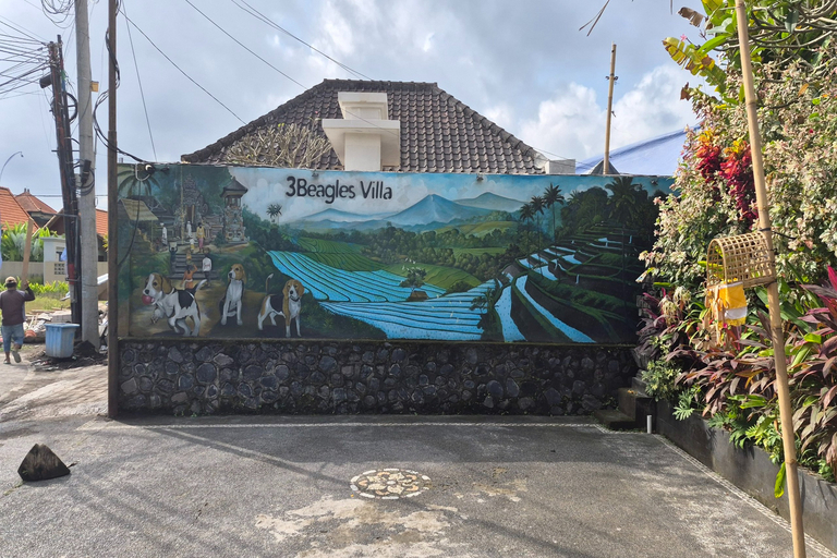 Others 3, 3 Beagles Villa, Gianyar