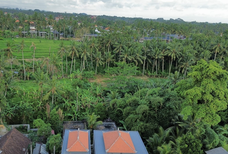 Other View & Surrounding 3, Casa Rodi Suite Ubud, Gianyar