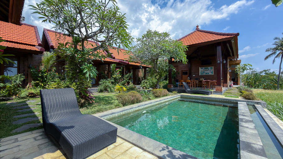 Swimming Pool, Dapha Eco Lodge Lovina, Buleleng