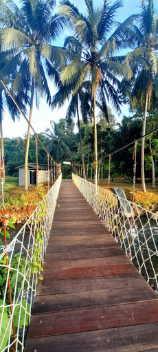 Garden 2, Pink Glamping Anyer, Serang