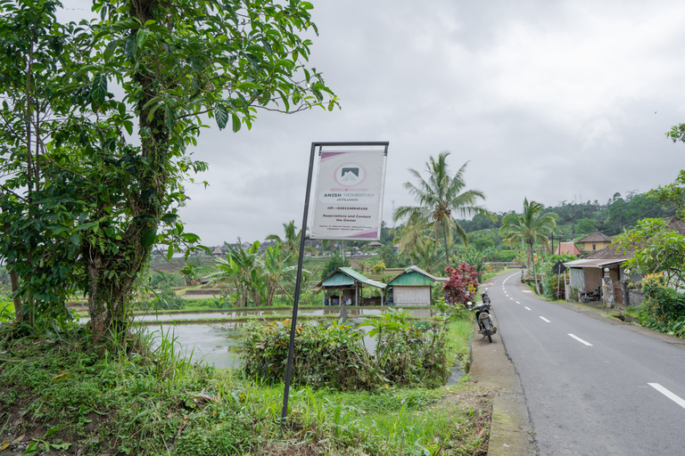 Others 2, Anish Homestay Jatiluwih Tabanan RedPartner, Tabanan