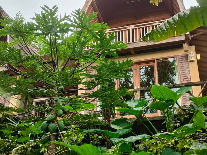 Exterior & Views 4, Munduk Retreat Pondok Pekak Lelut, Buleleng