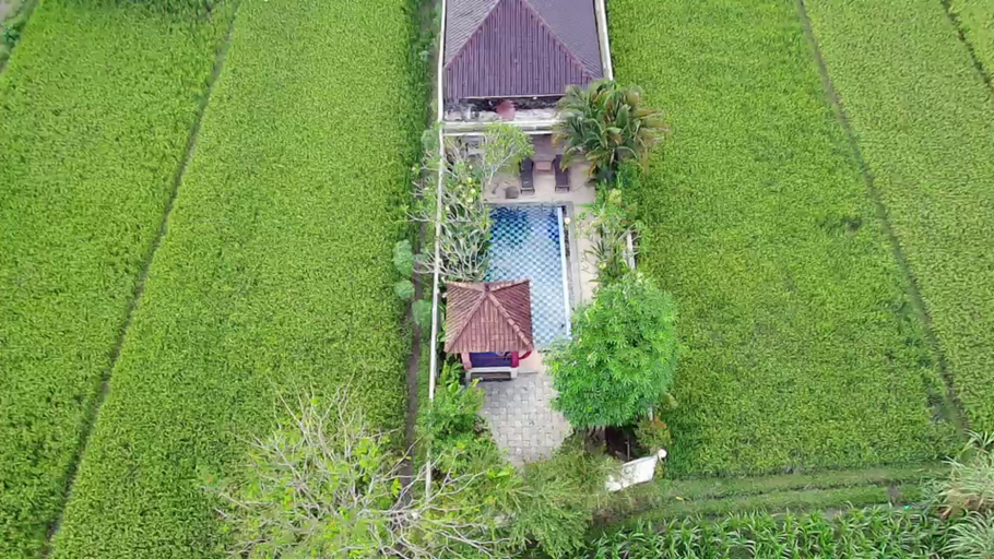 Exterior & Views 5, Rosseno Villa, Bantul