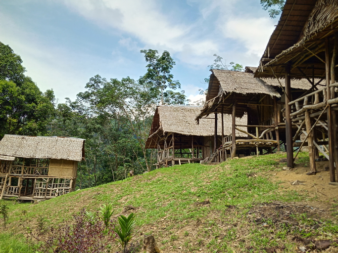 LOVELY JUNGLE LODGE & JUNGLE TREKING only book with us, Langkat