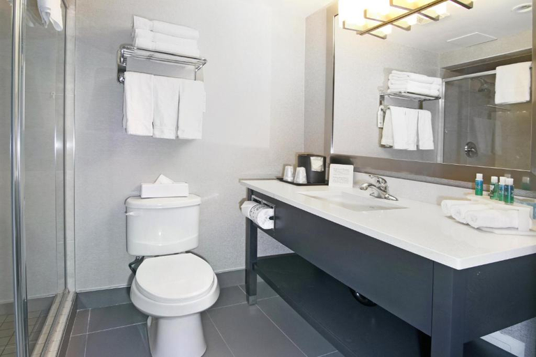 Bathroom 3, Holiday Inn Express & Suites CALGARY by IHG, Division No. 6