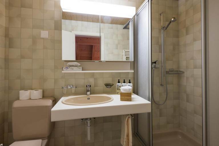 Bathroom 3, Nature Escape in Kander Valley, Frutigen