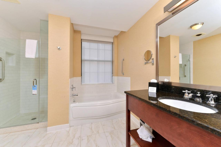 Bathroom 3, Fairfield Inn & Suites by Marriott Albany Downtown, Albany