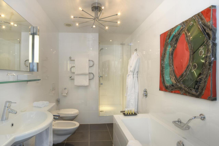 Bathroom 4, The New Midi, Genève