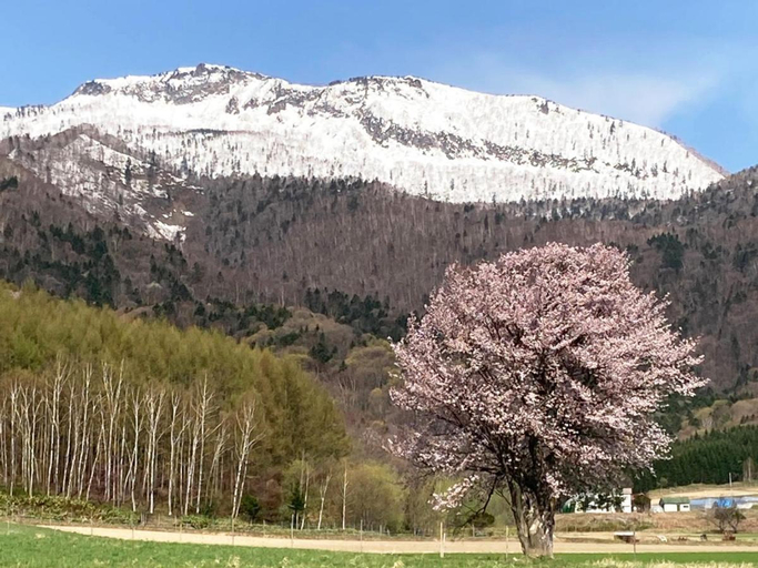 Others 4, Furano - Hotel / Vacation STAY 35850, Furano