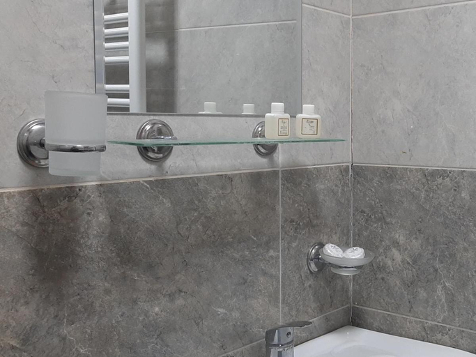 Bathroom 5, Hotel Garbani, Kazbegi