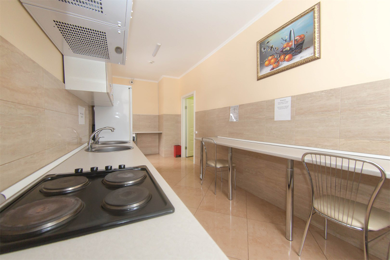 Others 4, Zodiac Hotel, Lyuberetskiy rayon