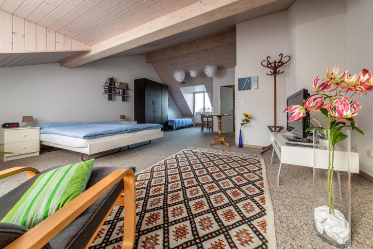 Bedroom 5, MyBednBreakfast in Bottmingen, Arlesheim