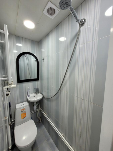 Bathroom, Дом 33 возле клиники Астхик, Yerevan