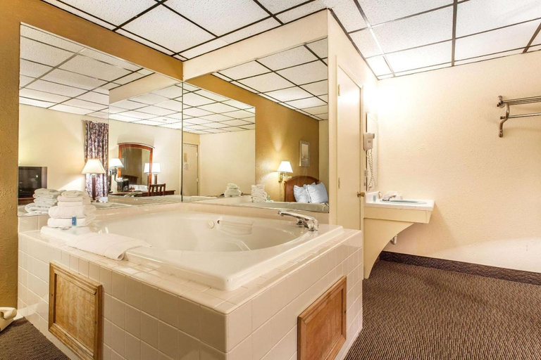 Bathroom, Rodeway Inn Cedar Point South, Erie