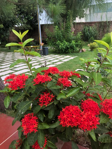 Others 3, Homestay Reeds Flowers, Sóc Sơn